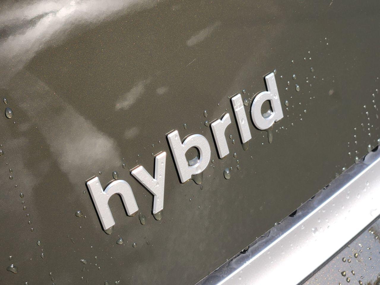 New 2026 TCP Hyundai Calligraphy image 9