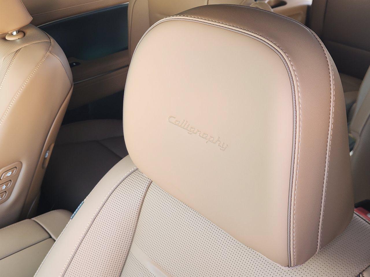 New 2027 Creamy White Pearl Hyundai Calligraphy image 13