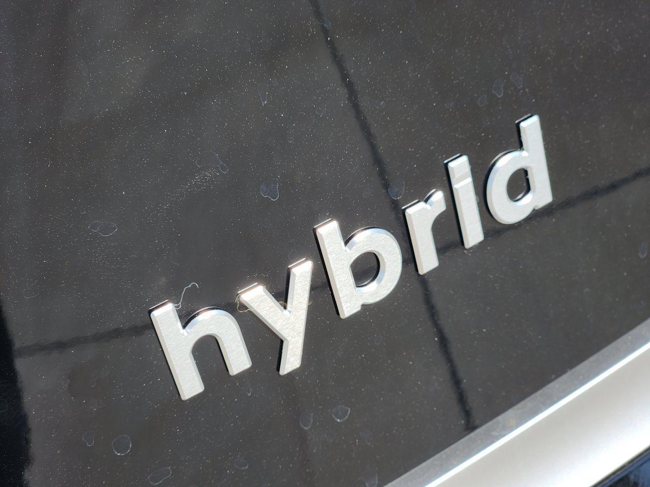 New 2027 Abyss Black Pearl Hyundai Calligraphy image 9