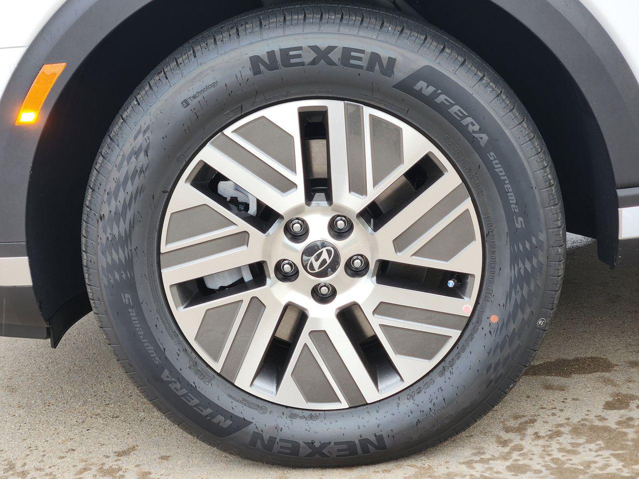 New 2026 Creamy White Pearl Hyundai Blue SEL 7P image 7
