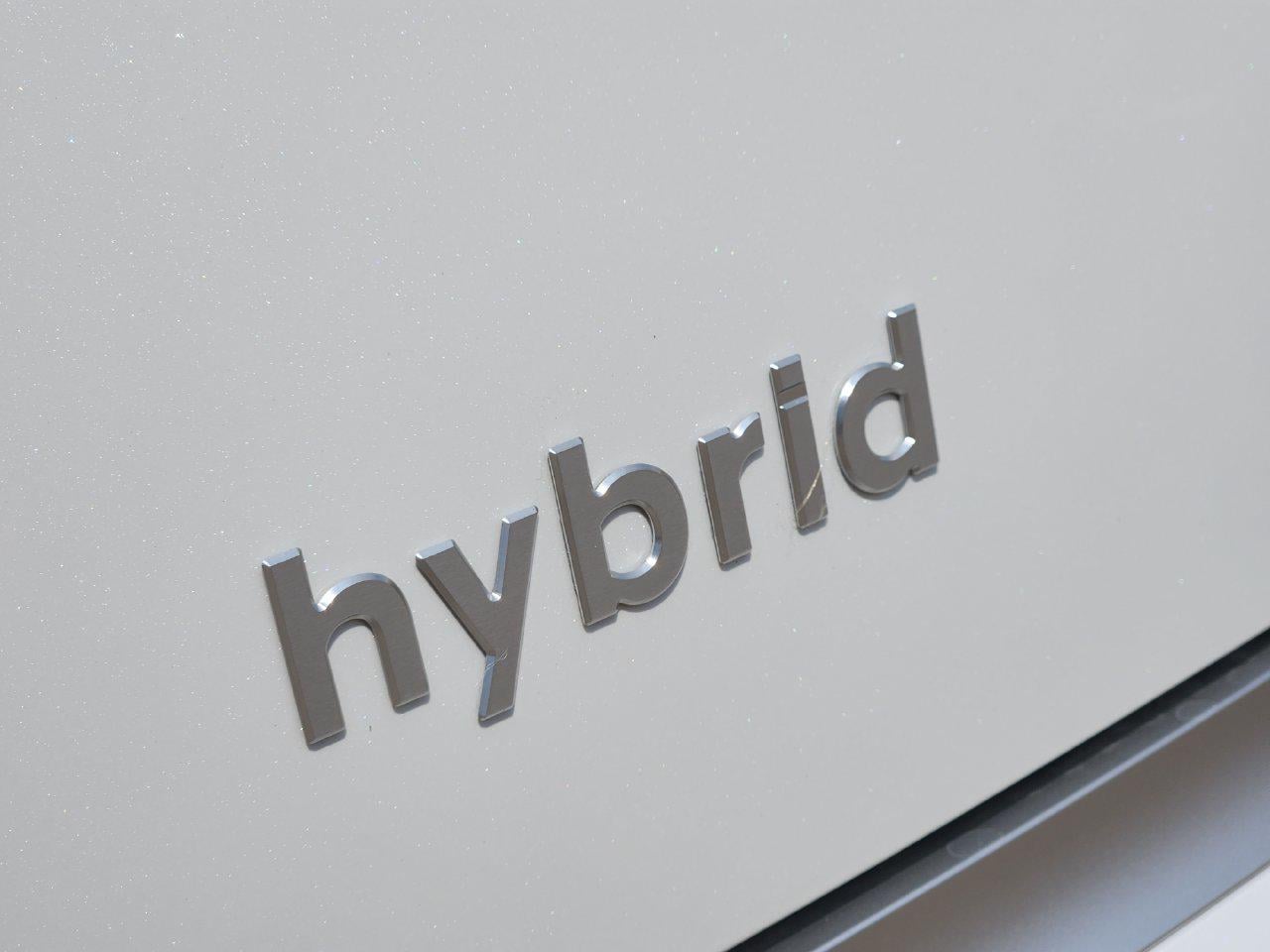 New 2027 Creamy White Pearl Hyundai Calligraphy image 9