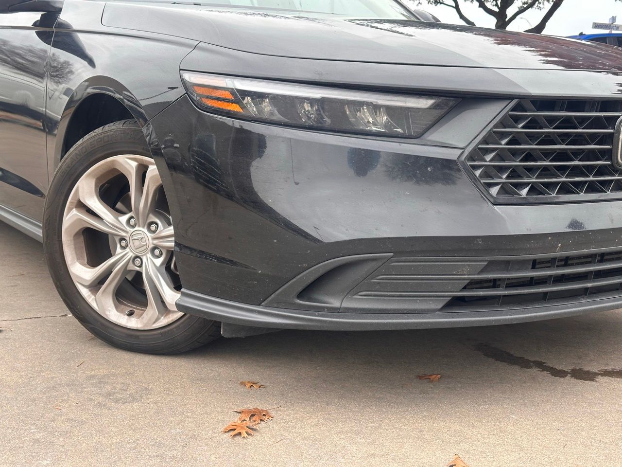 Used 2024 Honda Accord LX with VIN 1HGCY1F2XRA030331 for sale in Northfield, Minnesota