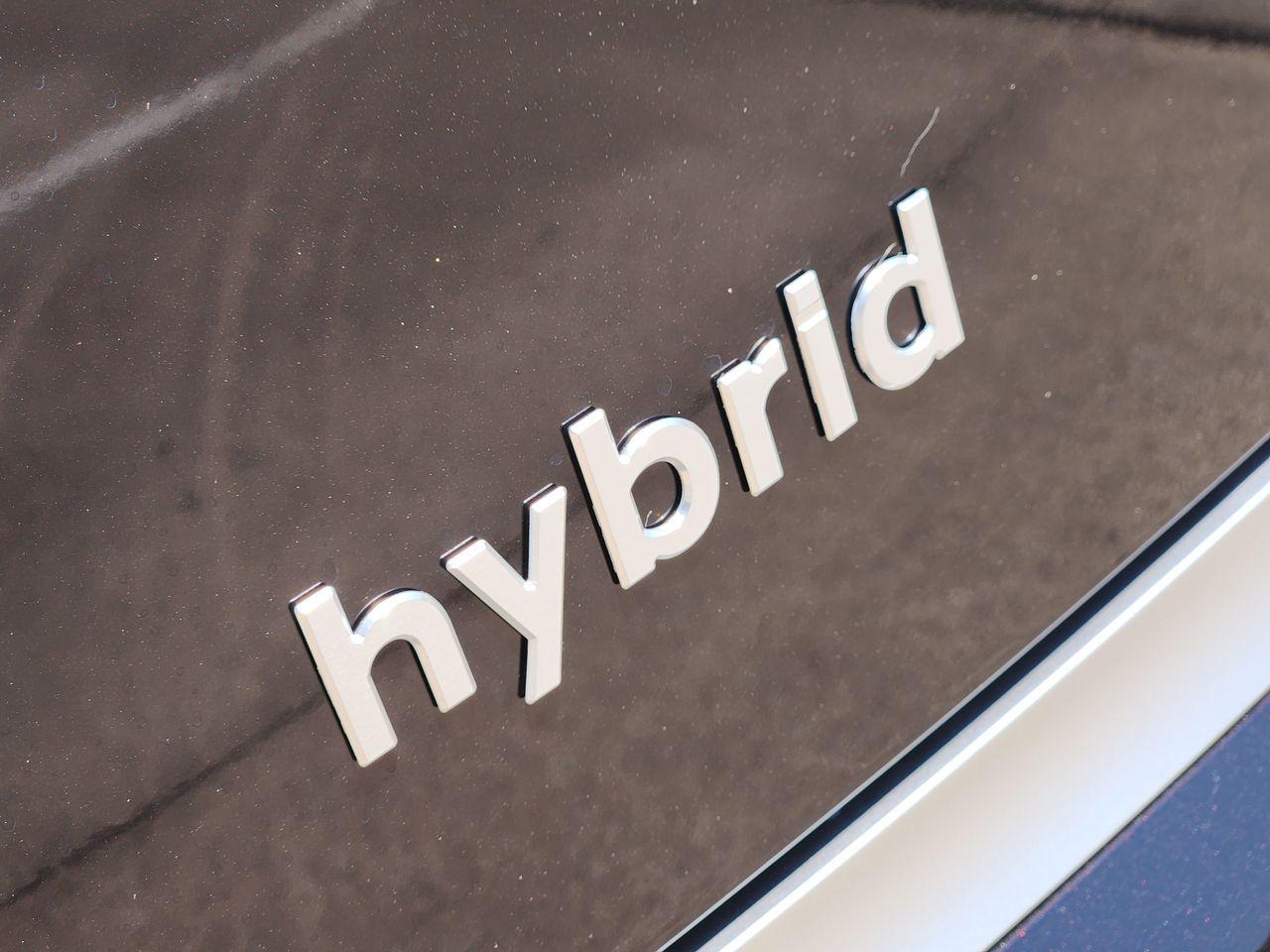 New 2027 Galaxy Maroon Pearl Hyundai Calligraphy image 9