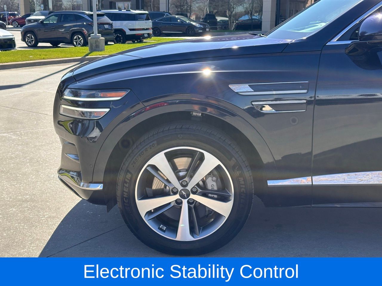 Used 2024 Vik Black Genesis 3.5T image 10