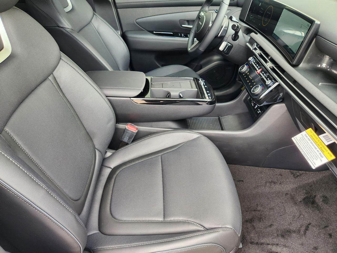 New 2026 Creamy White Pearl Hyundai Limited image 11