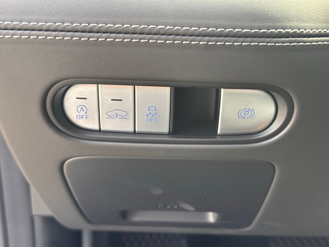 Used 2025 Vik Black Genesis 3.5T e-SC image 31