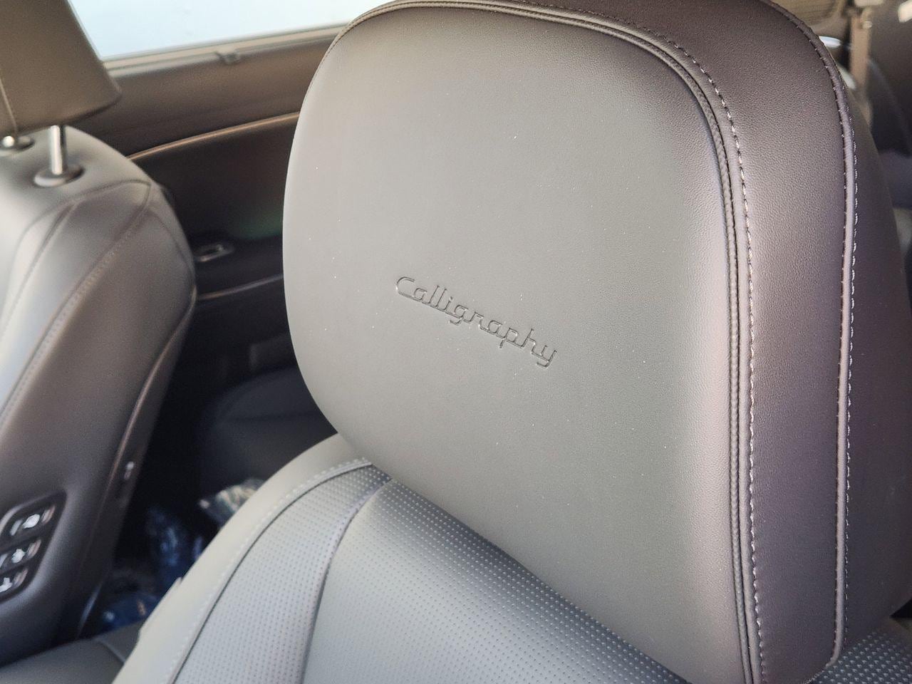 New 2026 PE2 Gray Hyundai Calligraphy image 12