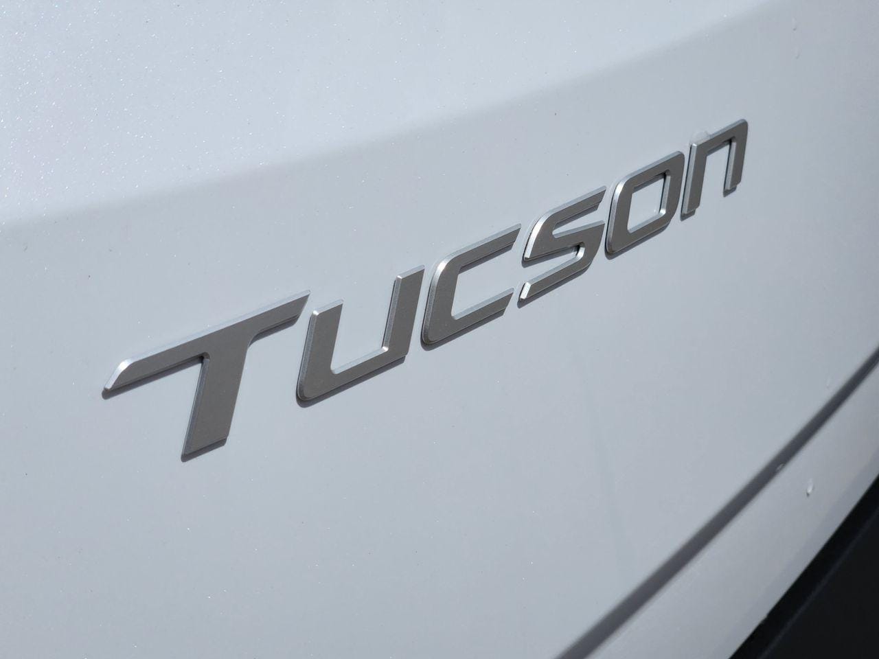 New 2026 Creamy White Pearl Hyundai Limited image 8