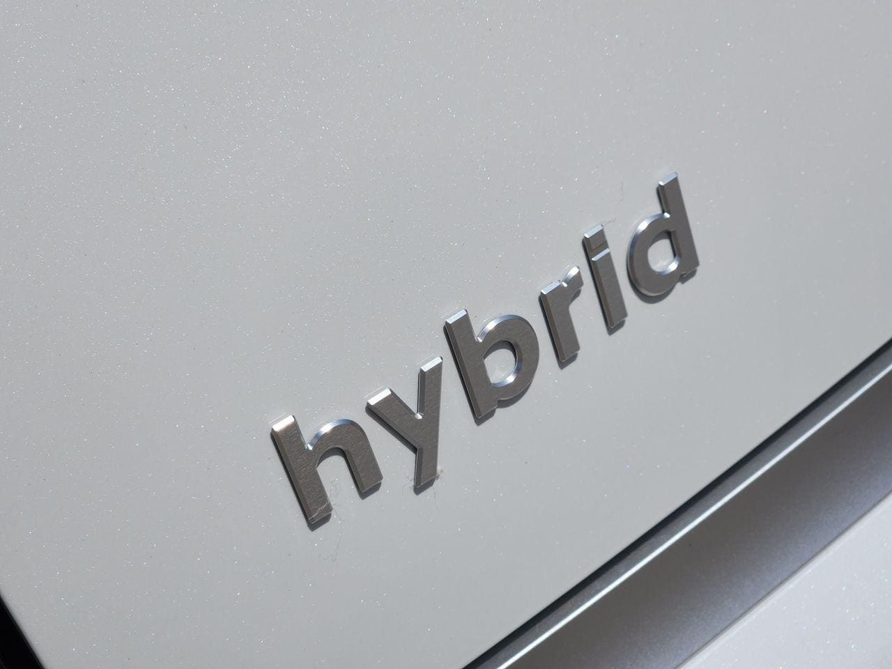 New 2027 Creamy White Pearl Hyundai Calligraphy image 10