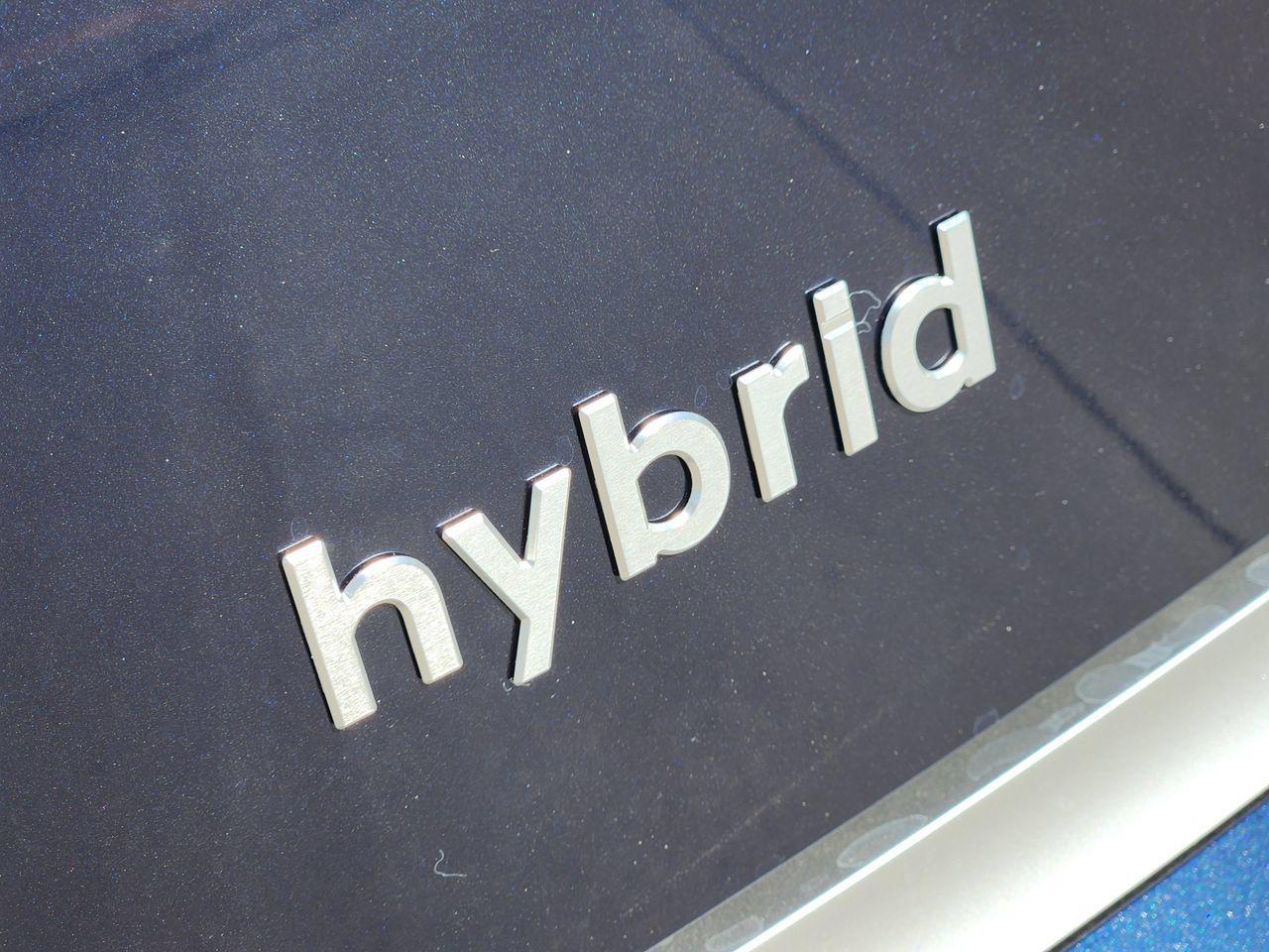 New 2027 Pacific Sapphire Pearl Hyundai Calligraphy image 9