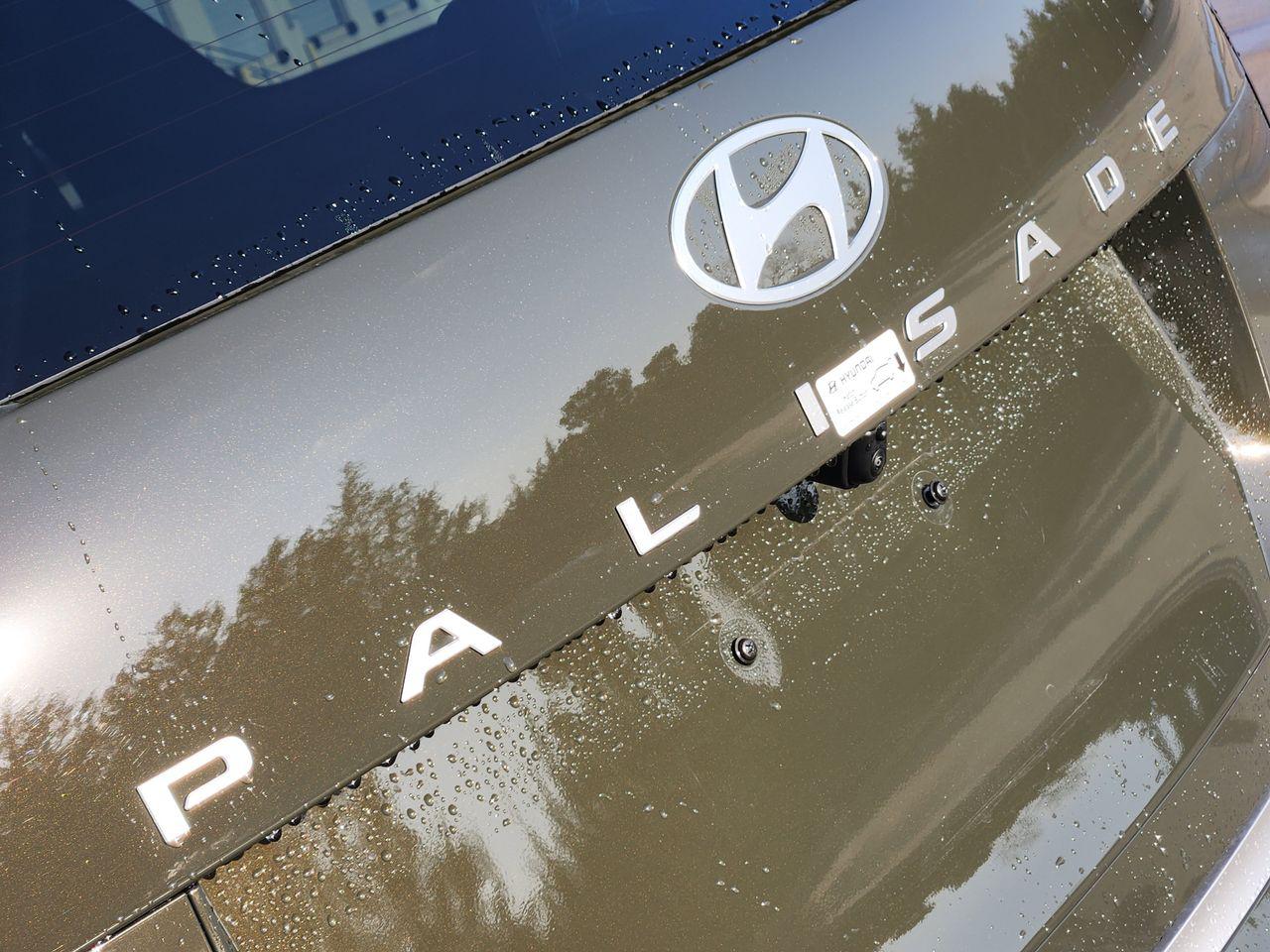 New 2026 TCP Hyundai Calligraphy image 8