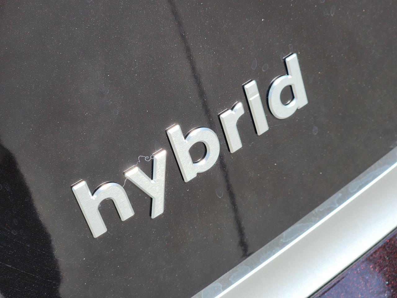 New 2027 Galaxy Maroon Pearl Hyundai Calligraphy image 9