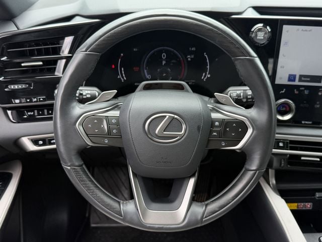 2024 Lexus RX 350 - Photo 12