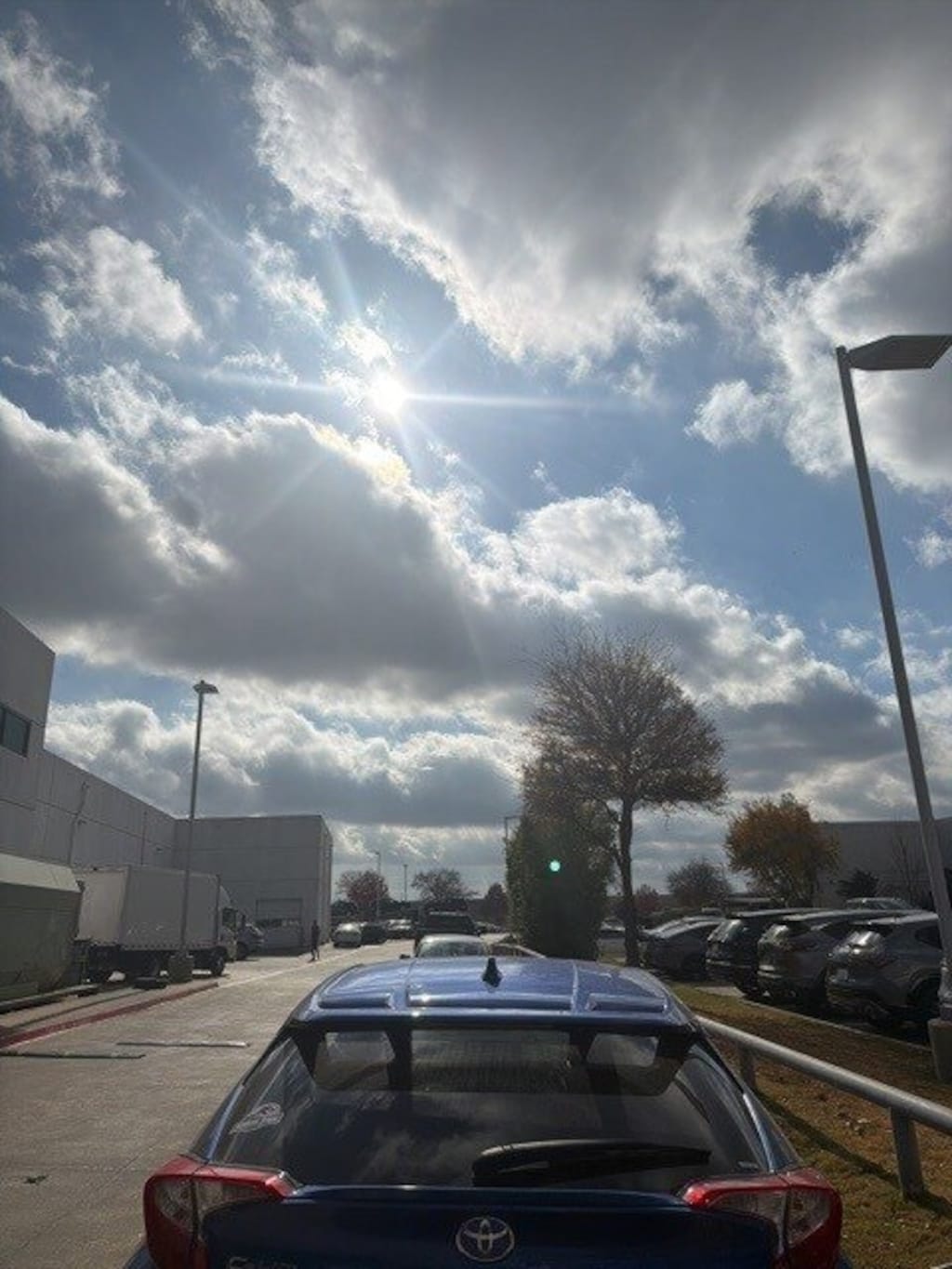 Used 2019 Toyota C-HR Limited SUV