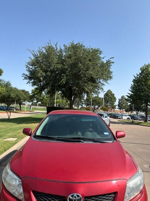 Used 2010 Toyota Corolla LE with VIN 1NXBU4EE6AZ290159 for sale in Arlington, TX