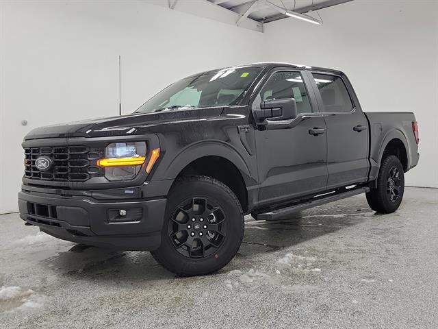 2025 Ford F-150 STX's photo