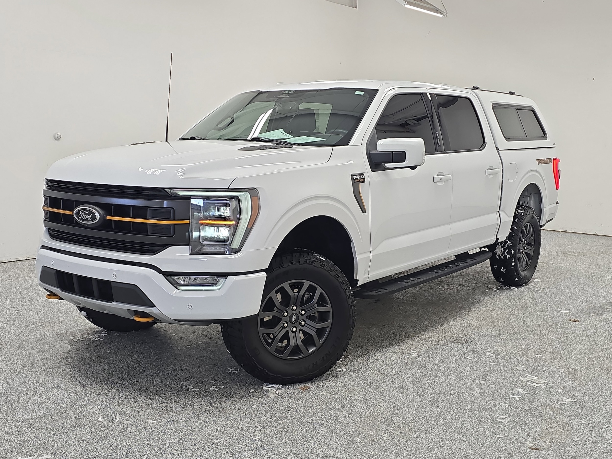 2022 Ford F-150 Tremor's photo