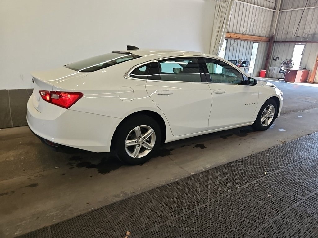 2024 Chevrolet Malibu LS photo 3