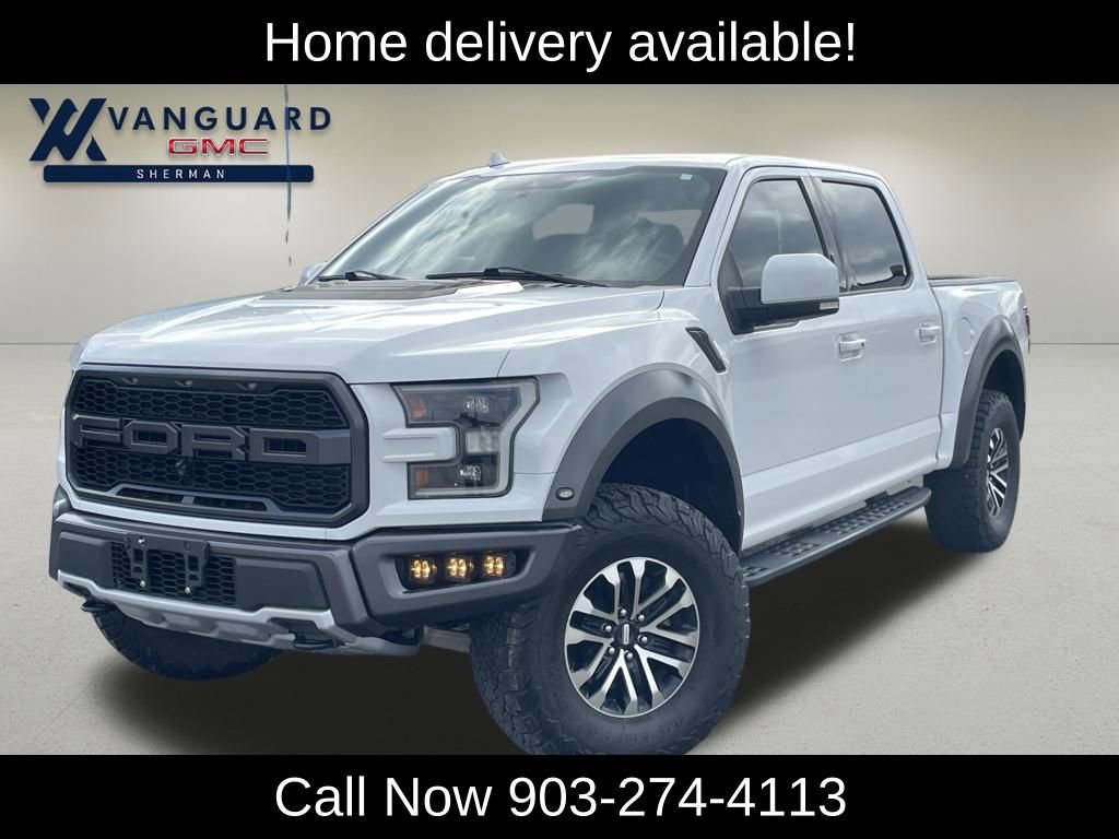 2020 Ford F-150 Raptor's photo