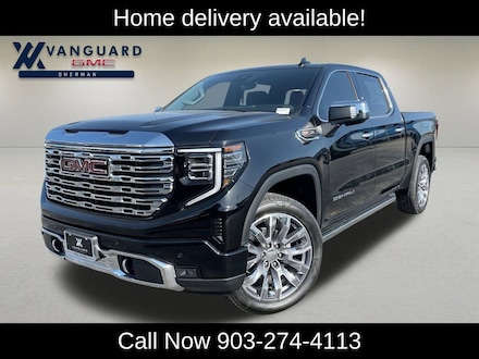 2025 GMC Sierra 1500 Denali Truck