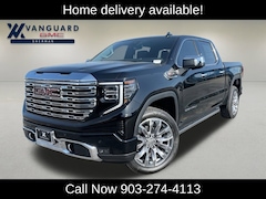 2025 GMC Sierra 1500 Denali Truck