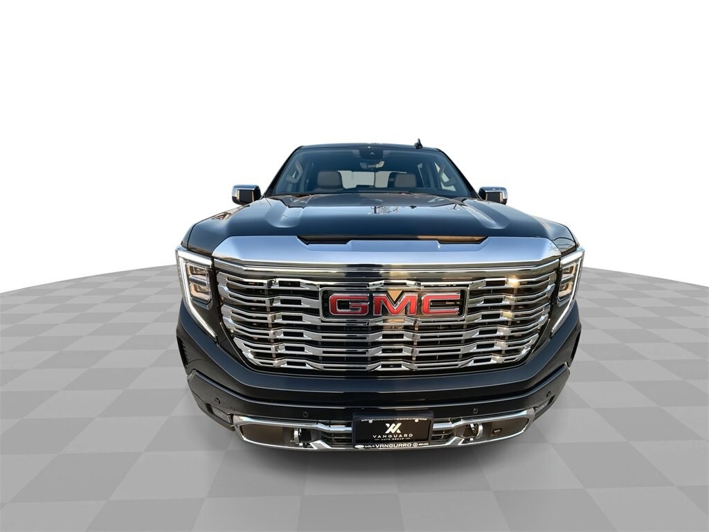2026 Gmc Sierra 1500 Denali photo 3