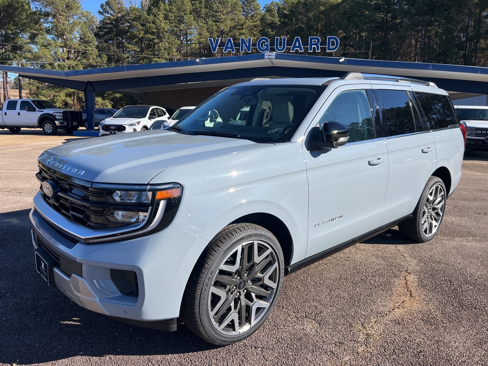 2026 Ford Expedition Platinum's photo