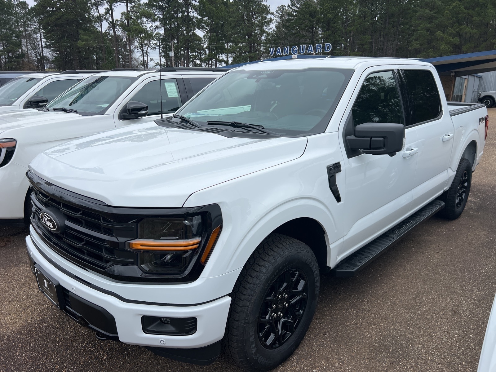 2025 Ford F-150 XLT's photo