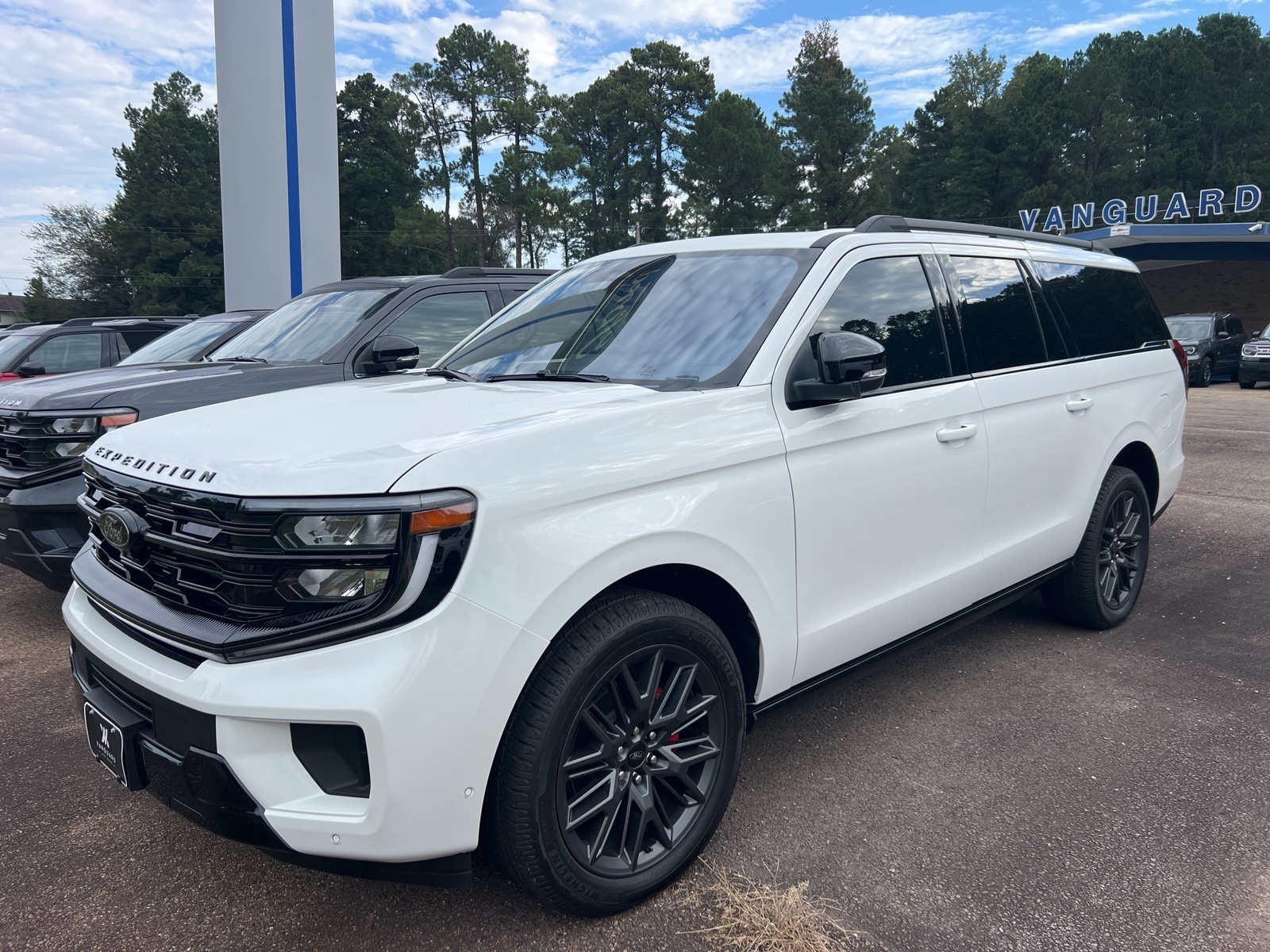 2025 Ford Expedition Platinum's photo