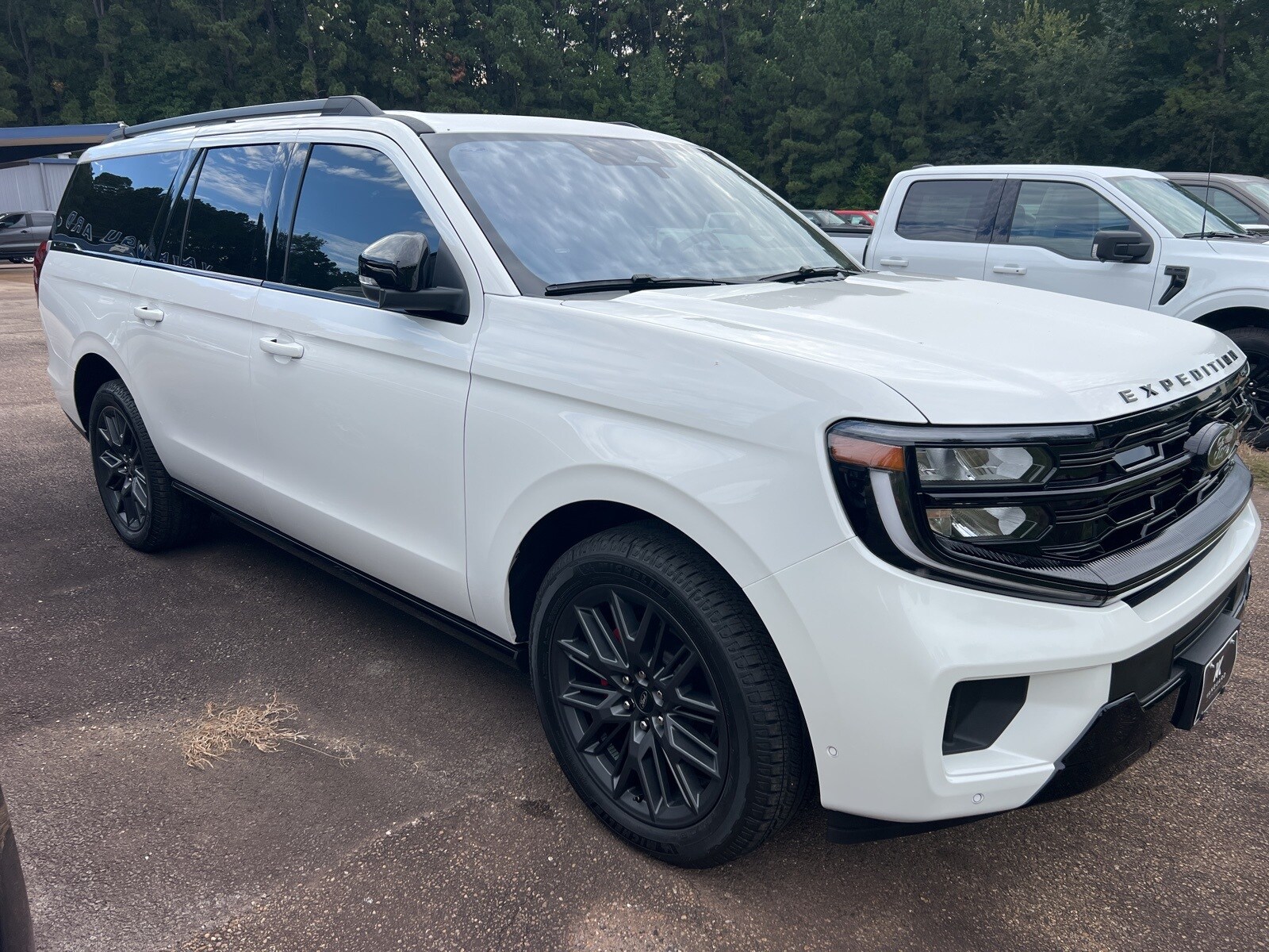 2025 Ford Expedition MAX Platinum photo 3
