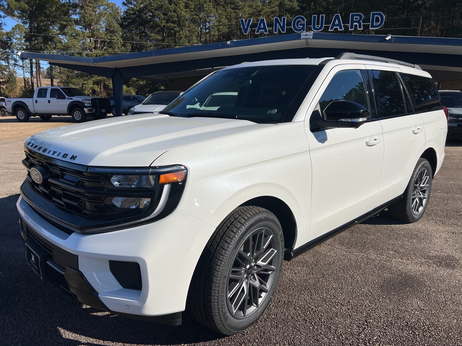 2025 Ford Expedition Platinum's photo