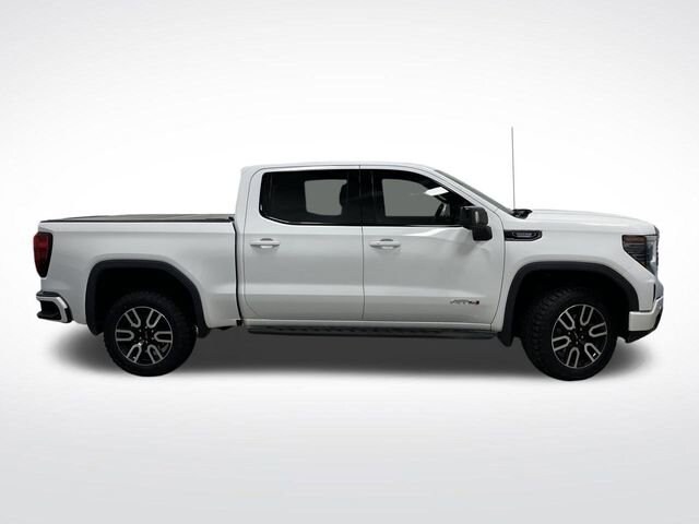 2022 Gmc Sierra 1500 AT4 photo 2