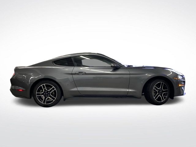 2021 Ford Mustang EcoBoost Premium photo 2