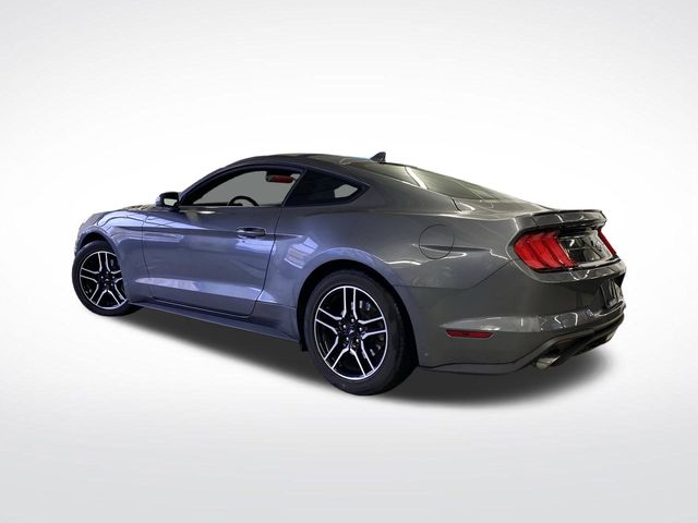 2021 Ford Mustang EcoBoost Premium photo 3