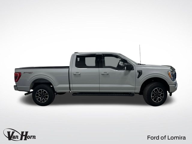 Used 2023 Ford F-150 XLT with VIN 1FTFW1E84PFC62446 for sale in Lomira, WI