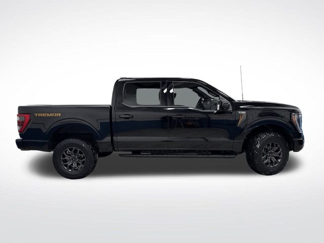 2022 Ford F-150 Tremor photo 2