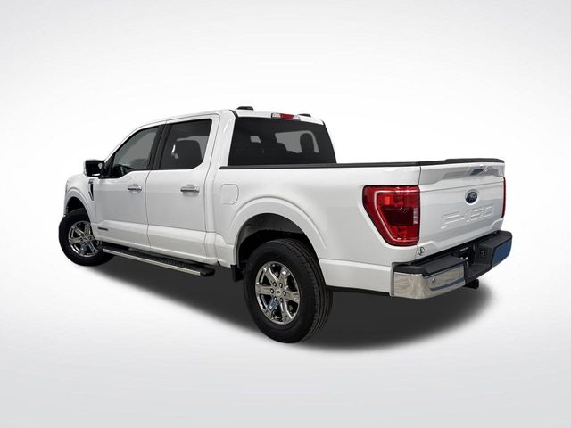 2023 Ford F-150 XLT photo 2