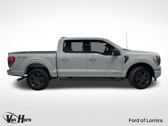 Used 2023 Ford F-150 XLT with VIN 1FTFW1ED3PFD09348 for sale in Lomira, WI