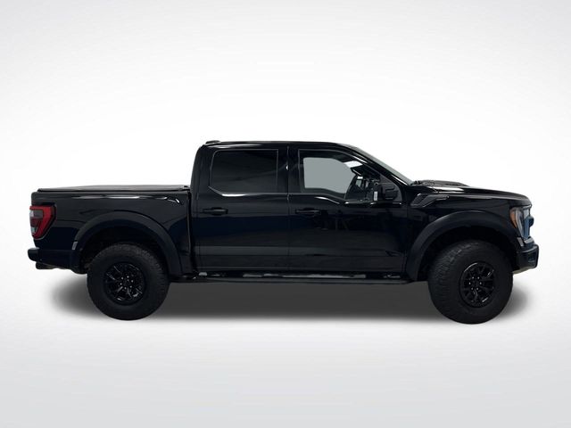 2023 Ford F-150 Raptor photo 2