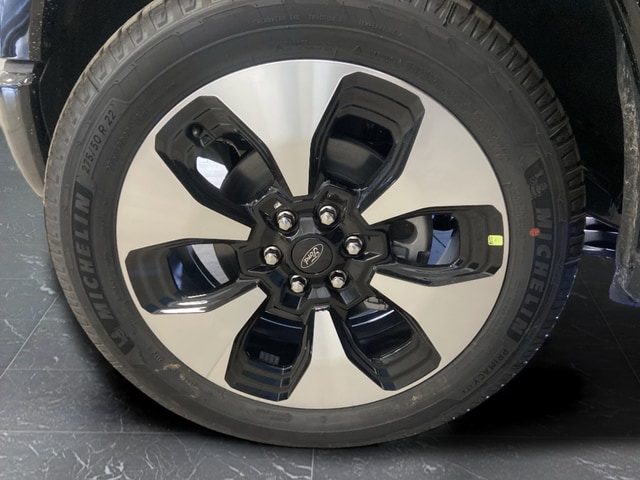 2025 Ford F-150 Lightning Platinum - Photo 41