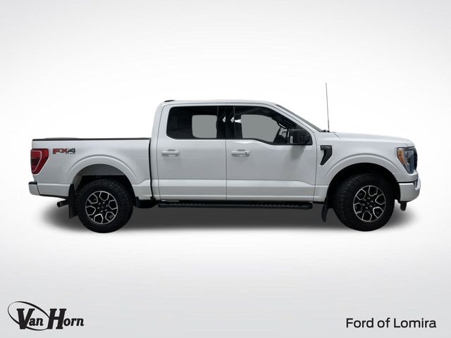 Used 2023 Ford F-150 XLT with VIN 1FTFW1E87PKD74035 for sale in Lomira, WI