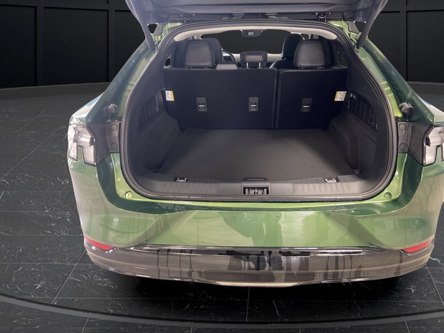 2025 Ford Mustang Mach-E Premium - Photo 15