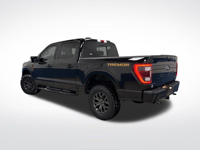 2022 Ford F-150 Tremor photo 3
