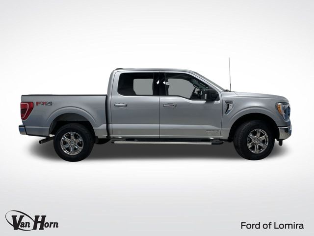 Used 2023 Ford F-150 XLT with VIN 1FTFW1ED3PFD04926 for sale in Lomira, WI