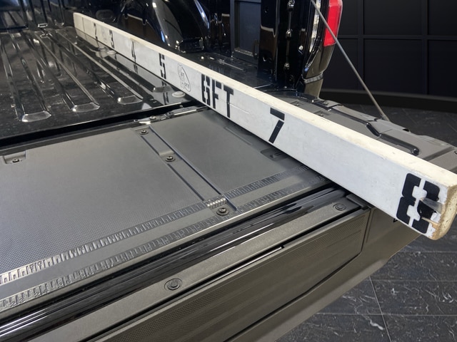 2025 Ford F-150 Lightning Platinum - Photo 16