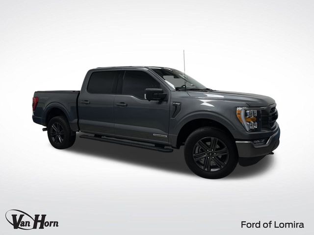 2023 Ford F-150 XLT's photo