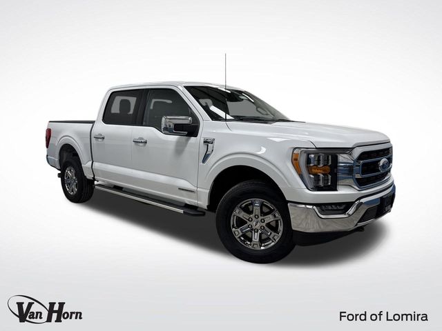 2023 Ford F-150 XLT's photo