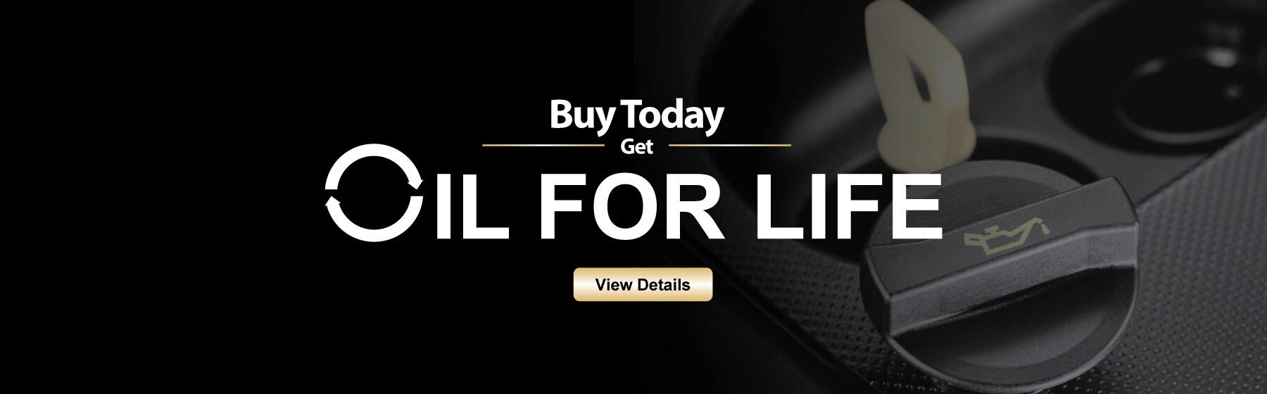 Van Horn Ford l New & Used Car Dealership in Lomira, WI