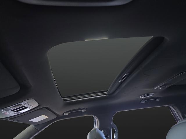 2026 Hyundai Palisade Calligraphy - Photo 7