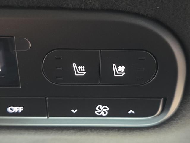 2026 Hyundai Palisade Calligraphy - Photo 39